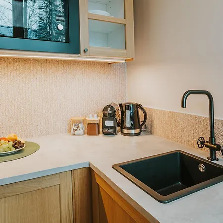 公寓 Visitzakopane - Cynamon