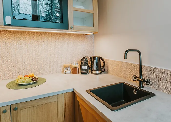 Apartamento Visitzakopane - Cynamon